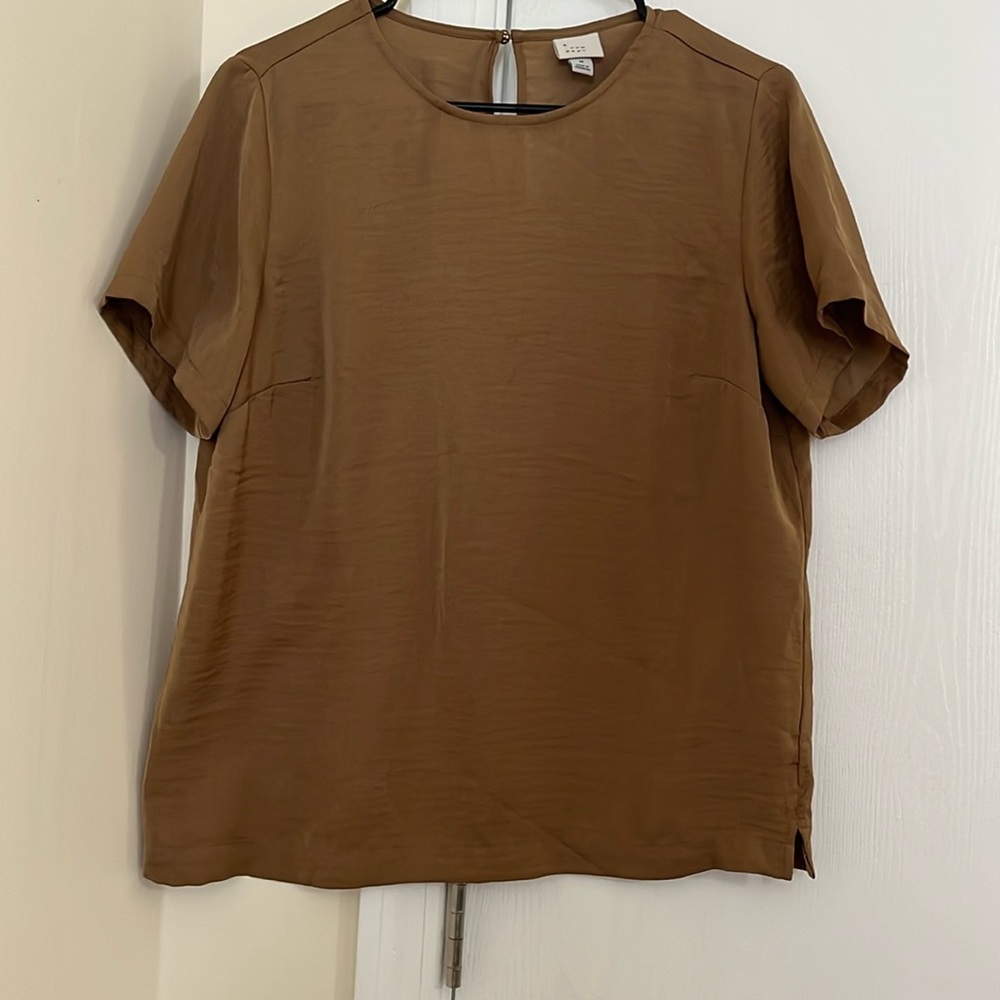 Brown sheer tee